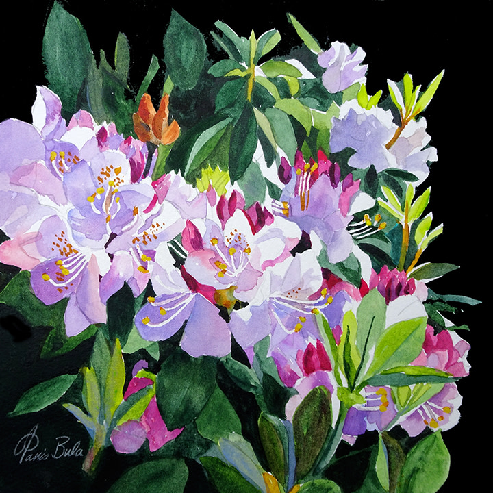 Rhodes in Light by Tanis Bula 