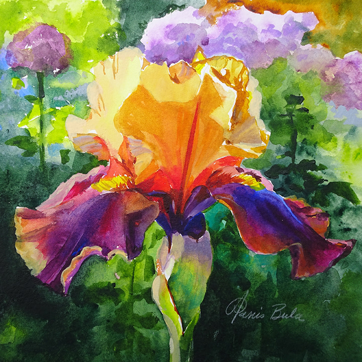 Yellow Purple Iris by Tanis Bula 