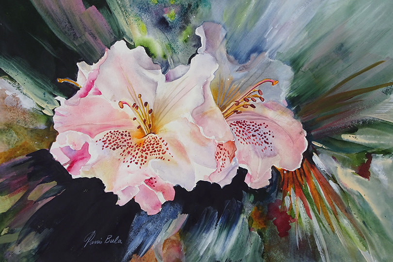 Rhodie Burst by Tanis Bula 