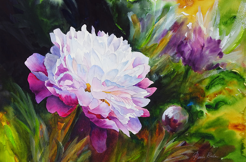 White Pink Peony by Tanis Bula 