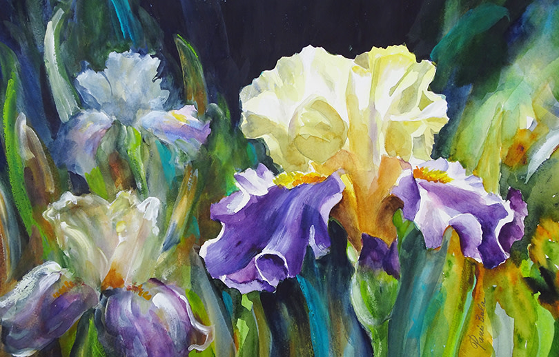 Yellow Purple Iris by Tanis Bula 