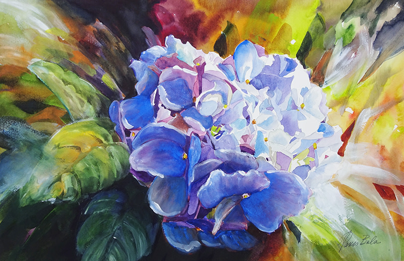 Hydrangea Surprise by Tanis Bula 