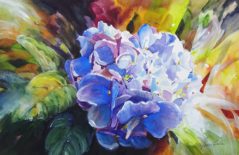 Hydrangea Surprise by Tanis Bula, Image 1.