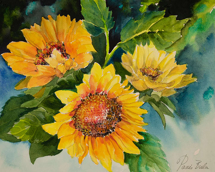 Three Sunflowers 