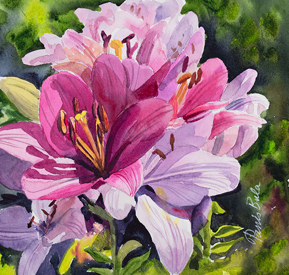 22-16 Pink Lily by Tanis Bula 