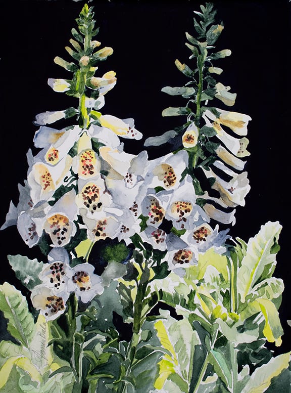 22-17 Foxglove, Image 3.