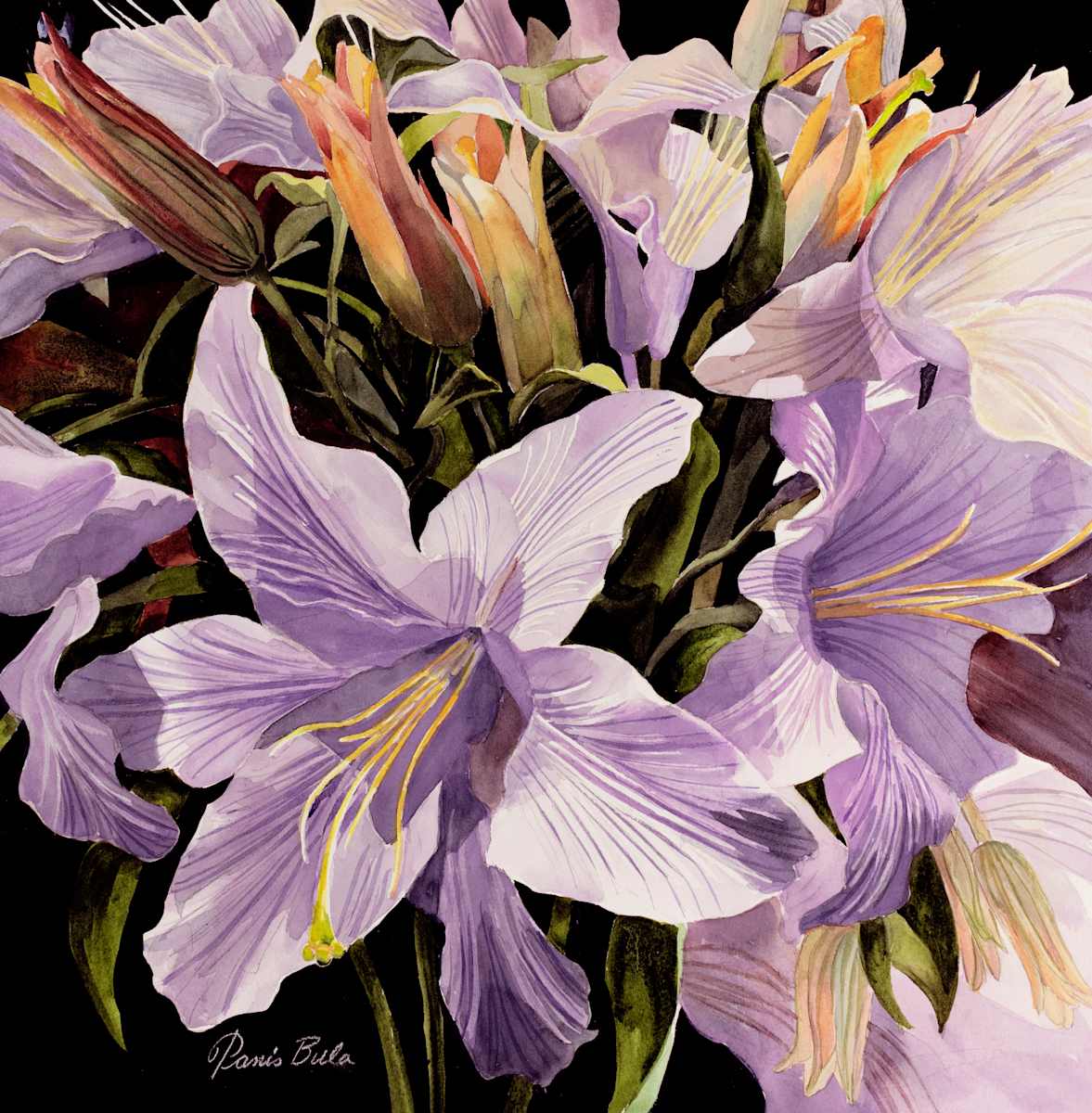 22-21 Dramatic Lily by Tanis Bula, Image 1.