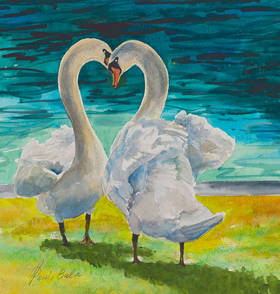 22-25 Swan Courtship by Tanis Bula 