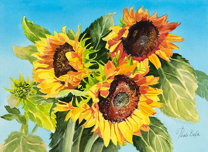 Three Sunflowers by Tanis Bula 