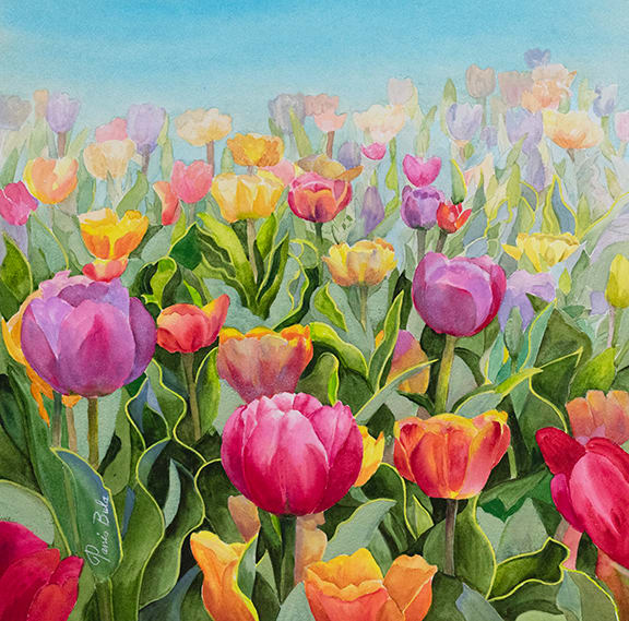 Colorful Tulips by Tanis Bula 