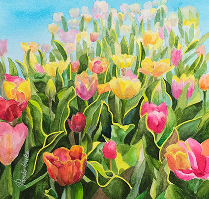 Mixed Tulips in Spring by Tanis Bula, Image 1.