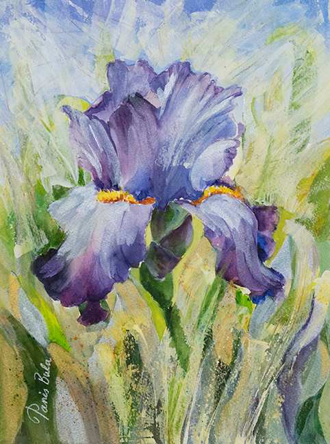 Shimmering Iris by Tanis Bula 