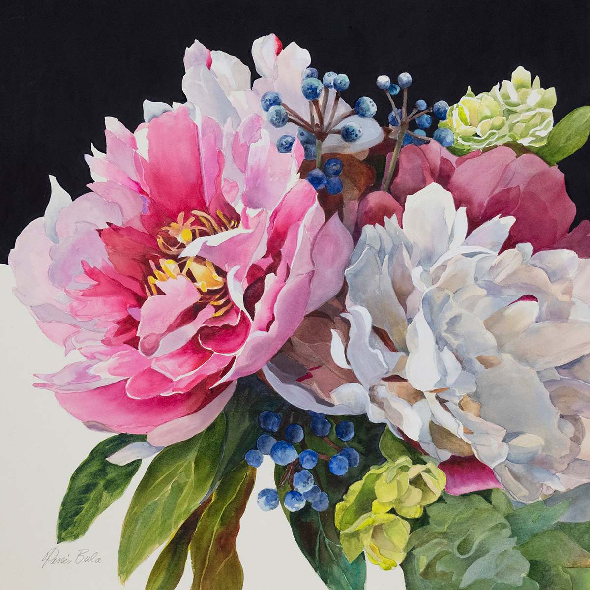 Two  Peonies by Tanis Bula 