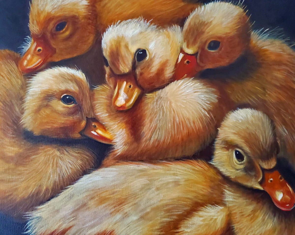 Ducklings by J. Scott Ament, Image 1.