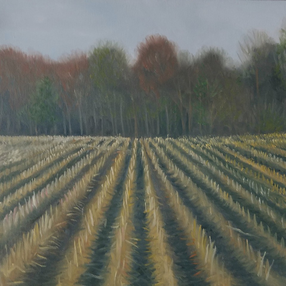 Corn Stubble by J. Scott Ament 