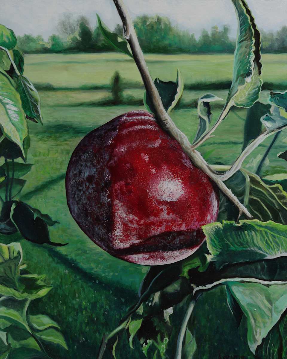 Apple by J. Scott Ament, Image 3.
