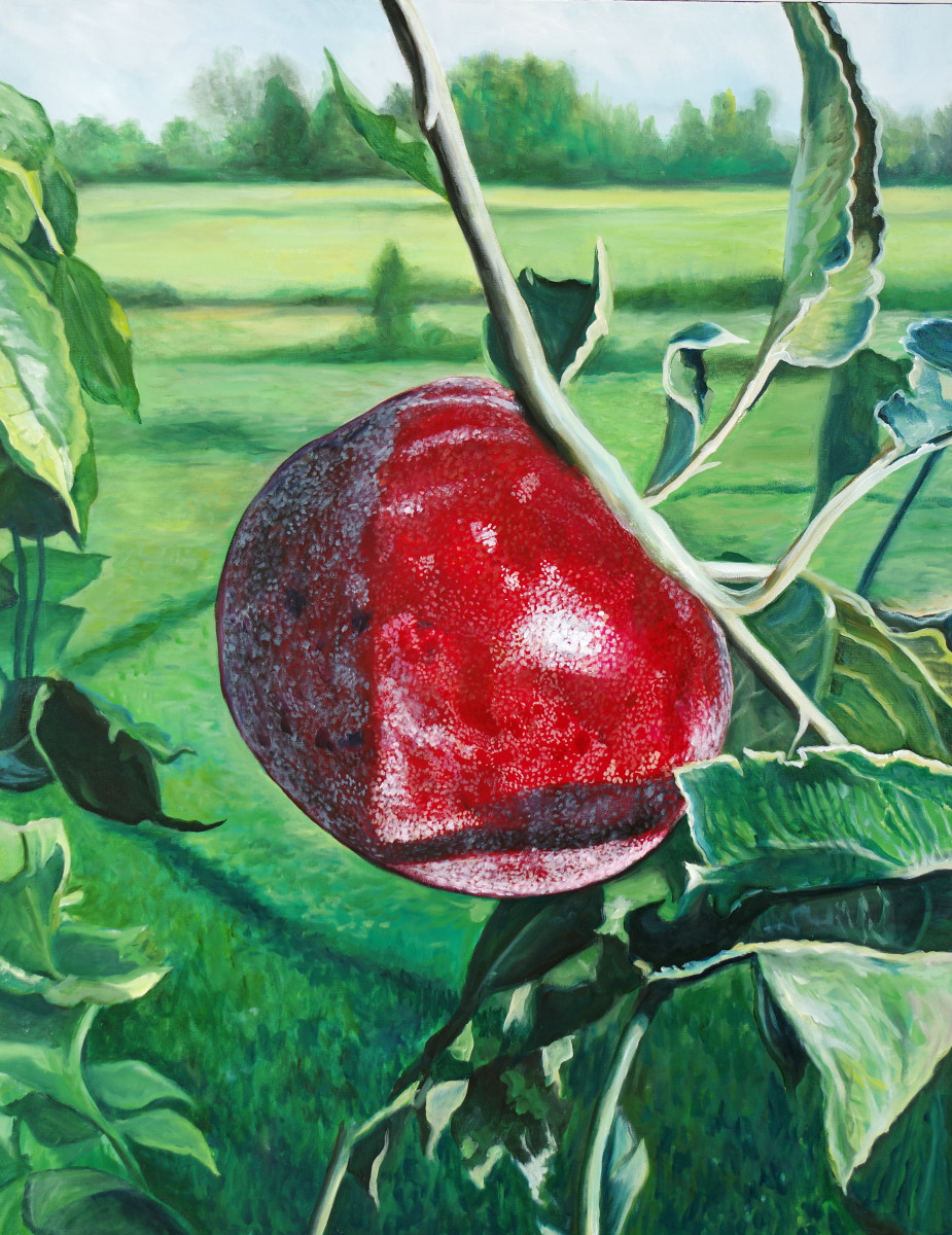 Apple by J. Scott Ament 