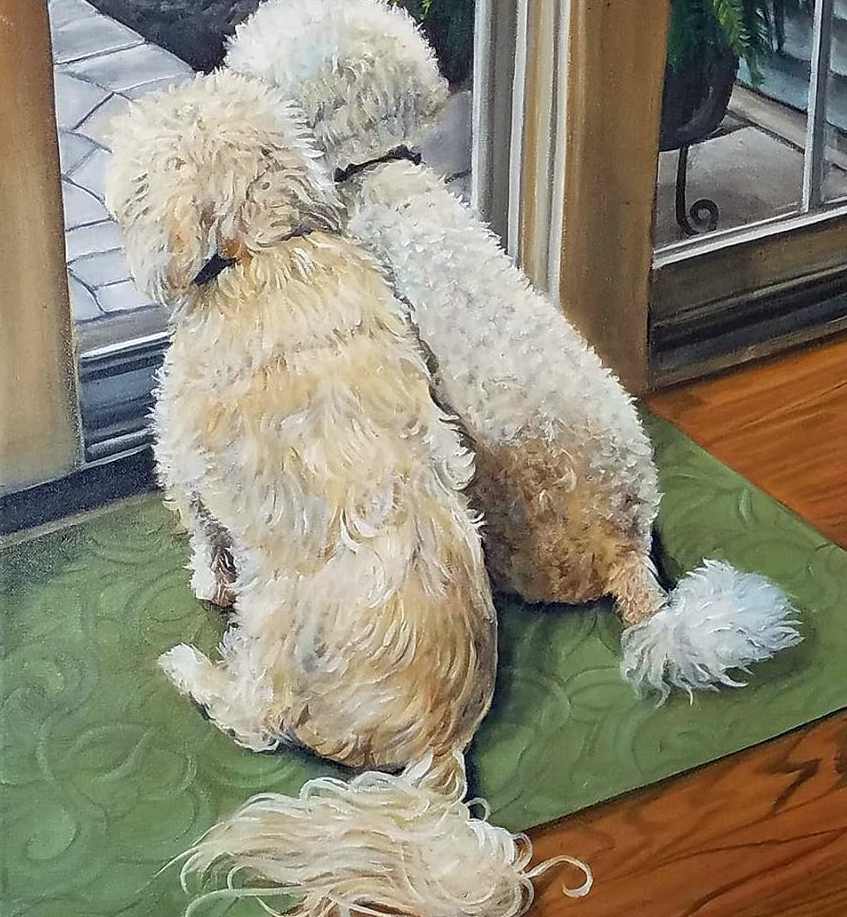Bailey & Chief by J. Scott Ament, Image 1.