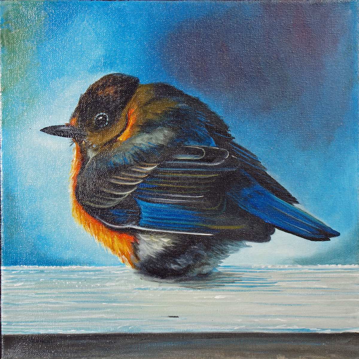 Bluebird by J. Scott Ament 