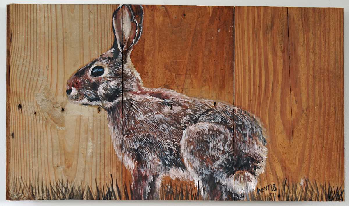 Board Rabbit by J. Scott Ament, Image 1.