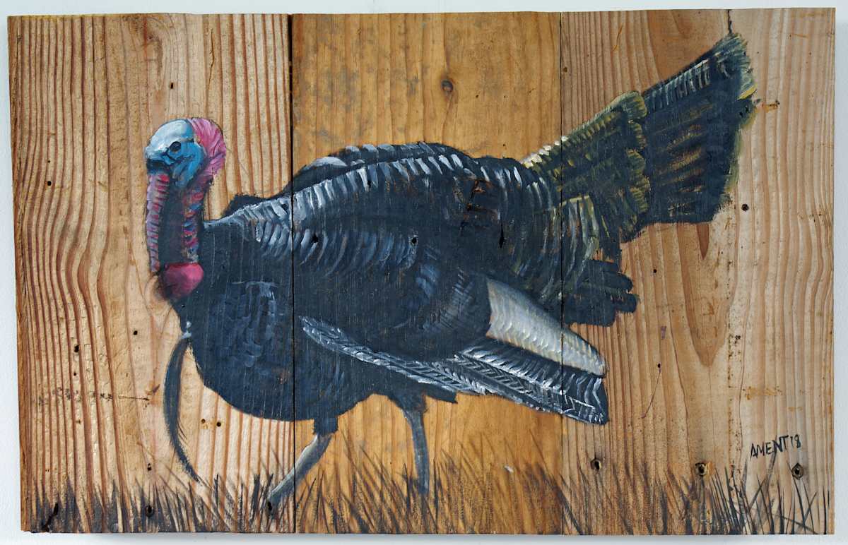 Board Tom by J. Scott Ament, Image 1.