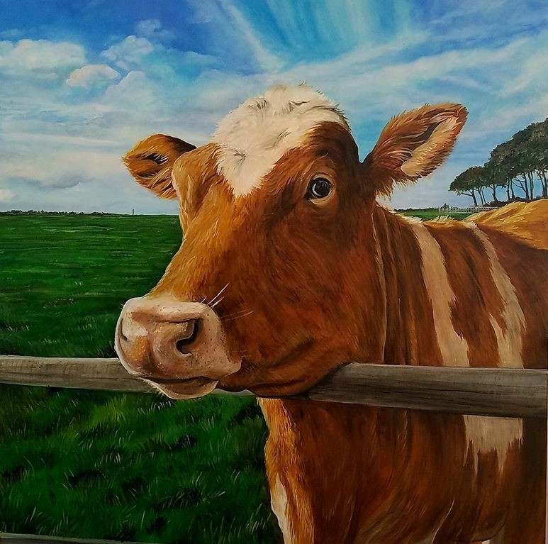 Canadian Cow by J. Scott Ament, Image 1.