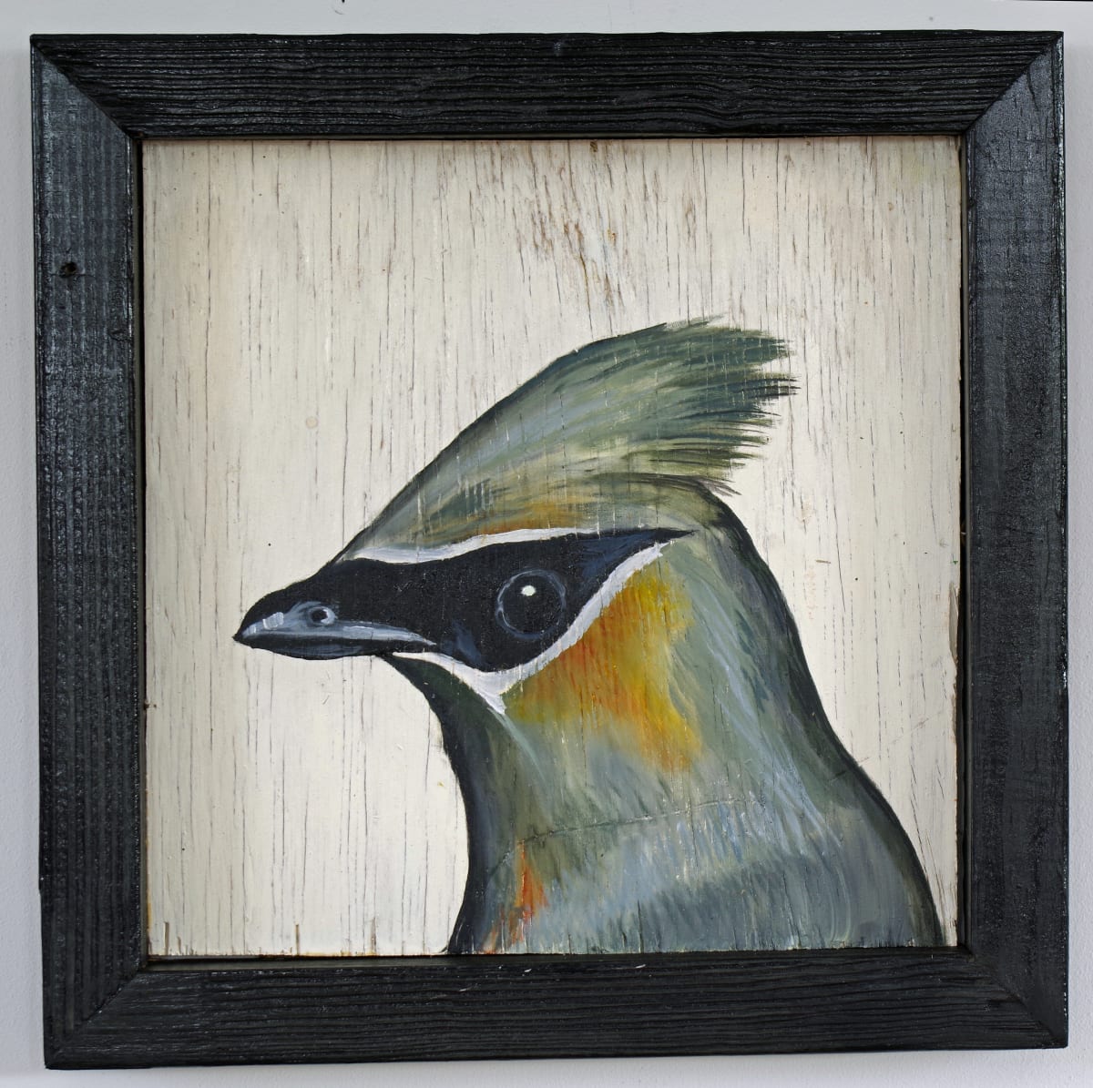 Cedar Waxwing by J. Scott Ament 