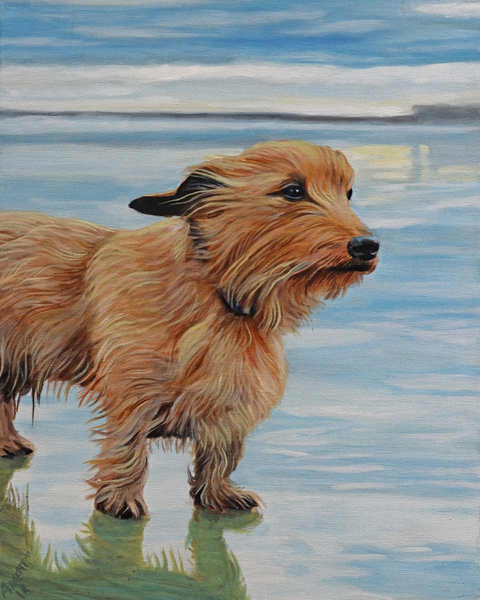 Charlie's Dog by J. Scott Ament 