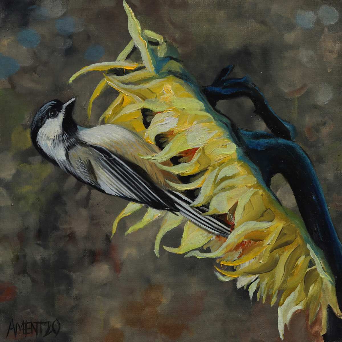 Chickadee by J. Scott Ament 