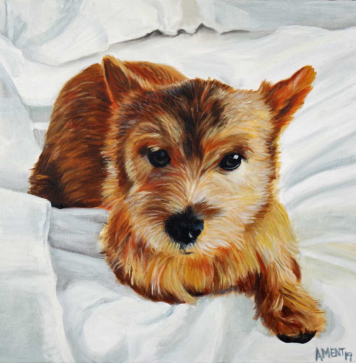 Dash by J. Scott Ament, Image 1.