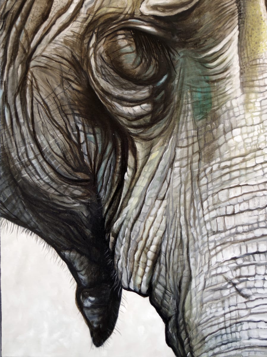 Elephant Detail by J. Scott Ament 