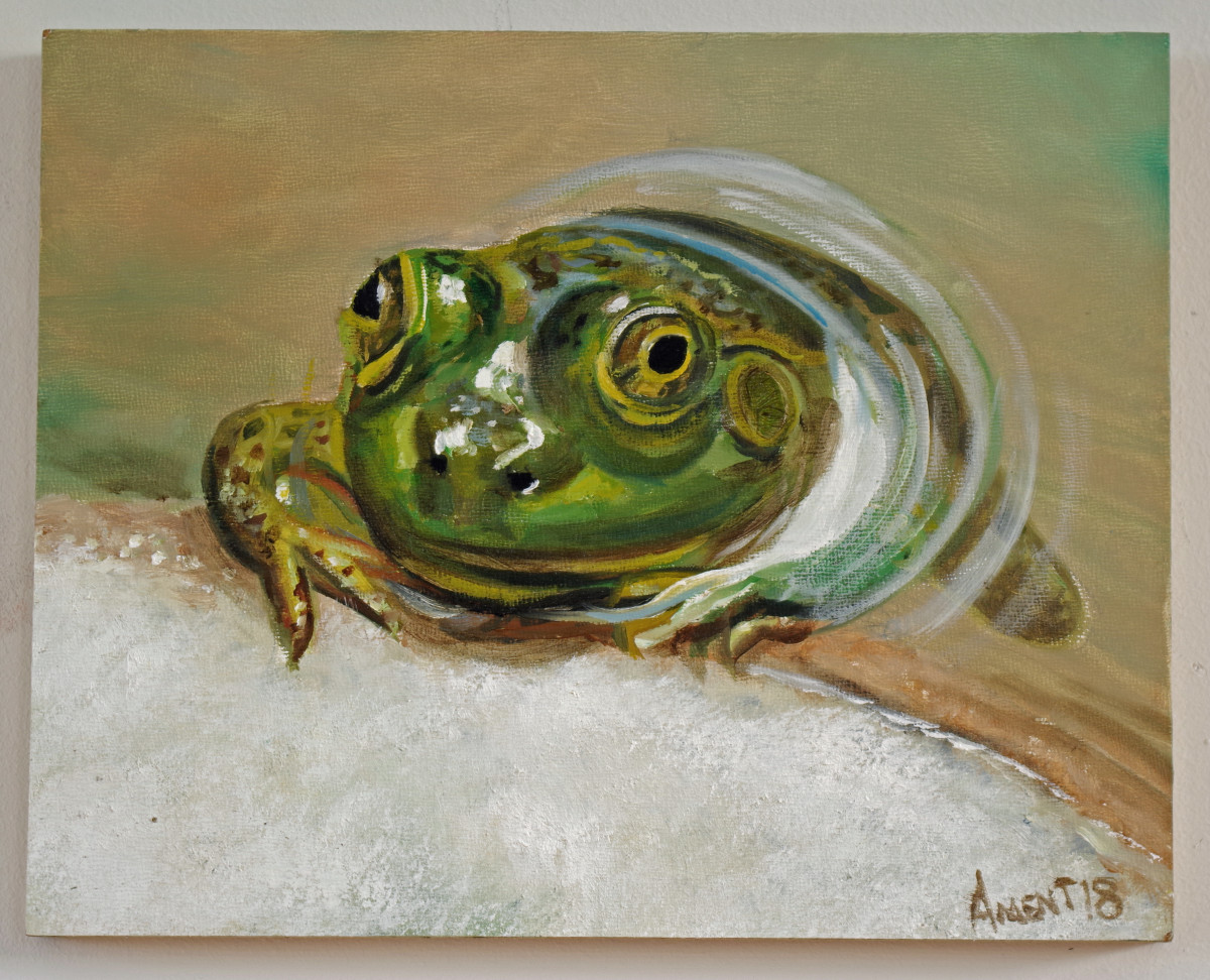 Froggie by J. Scott Ament 