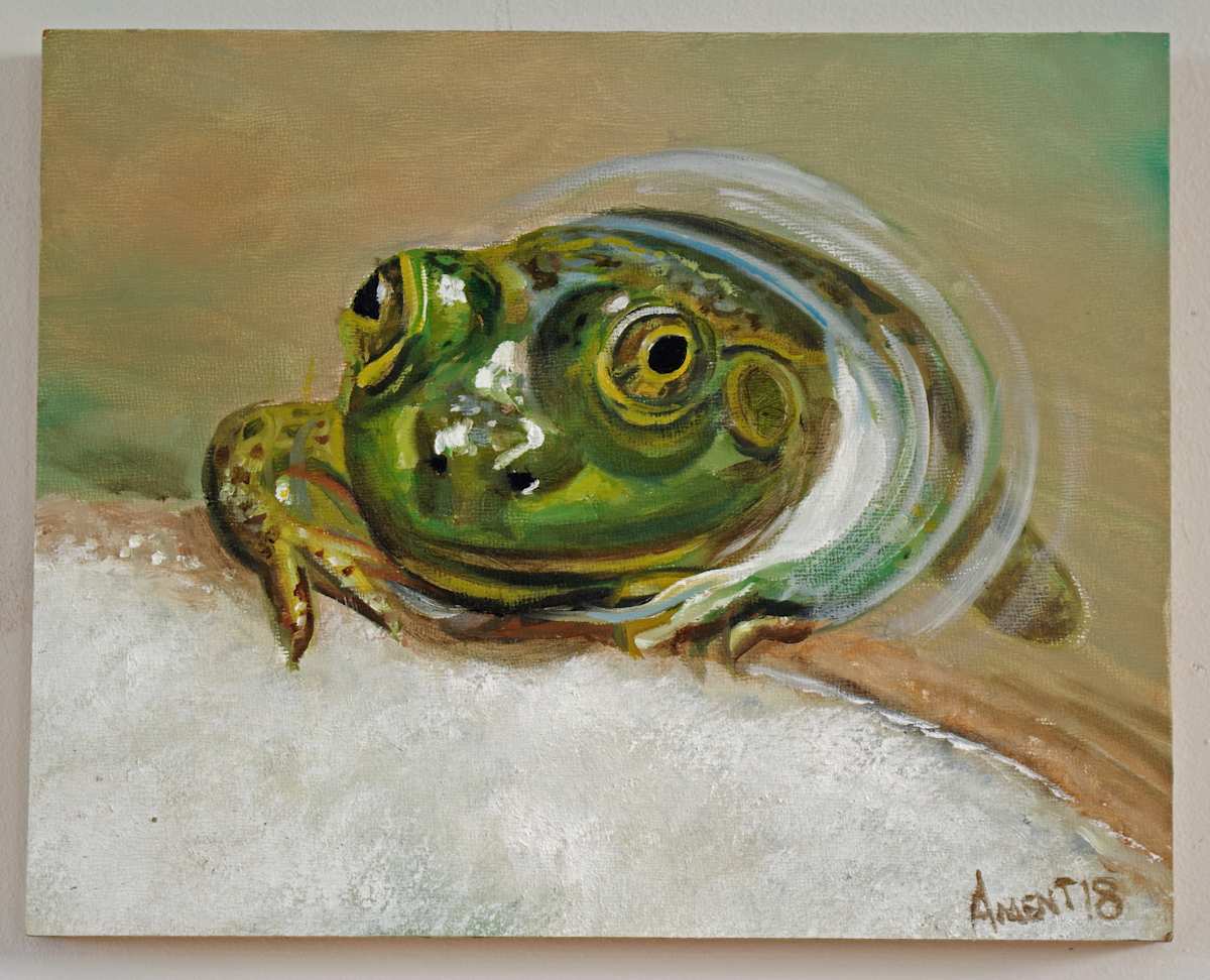 Froggie by J. Scott Ament, Image 1.