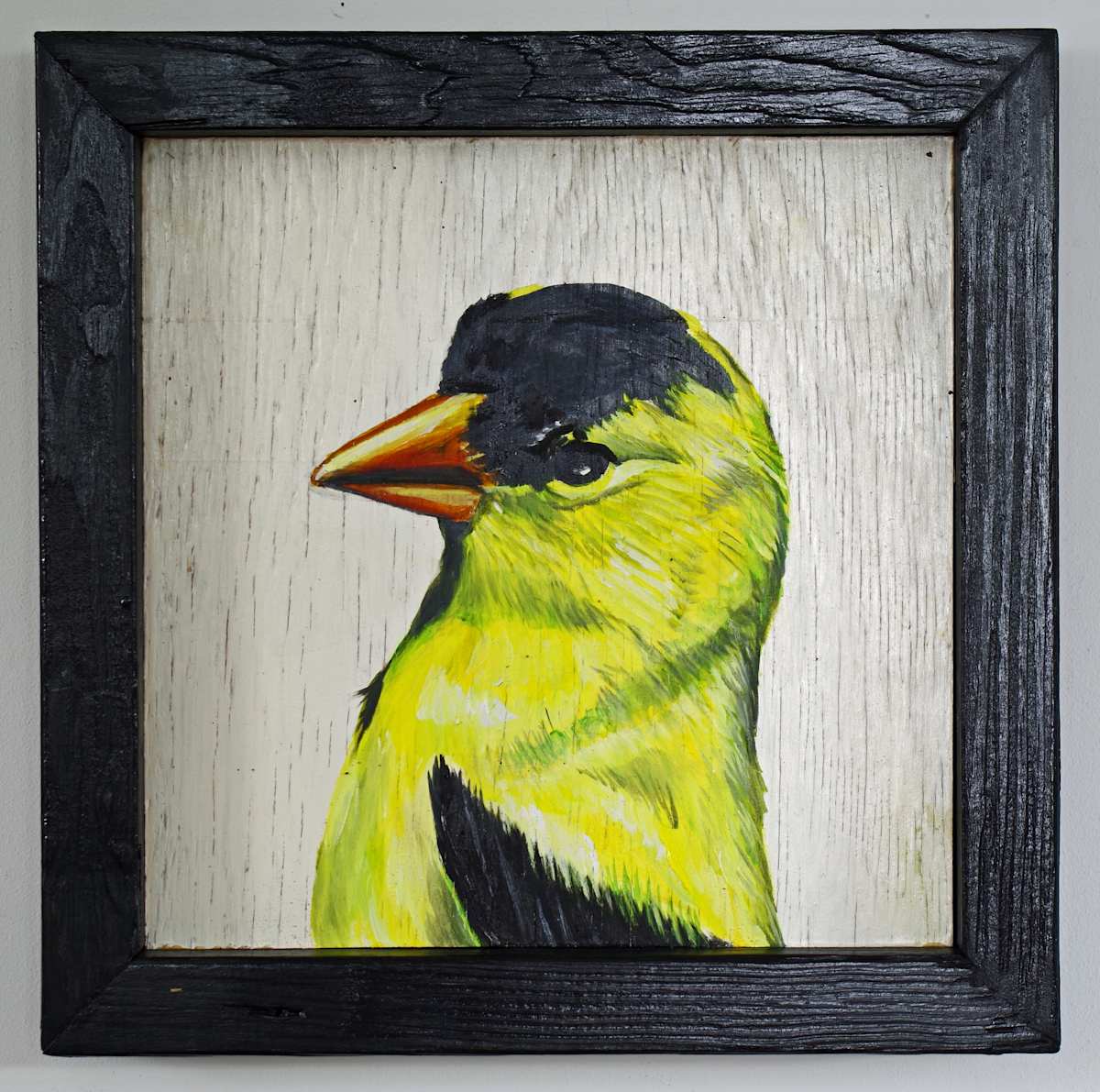 Goldfinch by J. Scott Ament, Image 1.