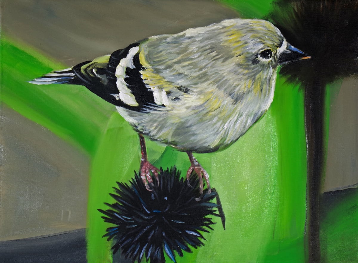 Goldfinch by J. Scott Ament, Image 1.