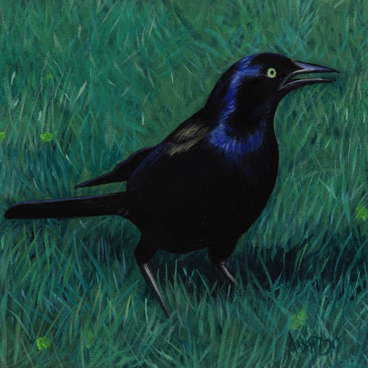 Grackle by J. Scott Ament, Image 3.