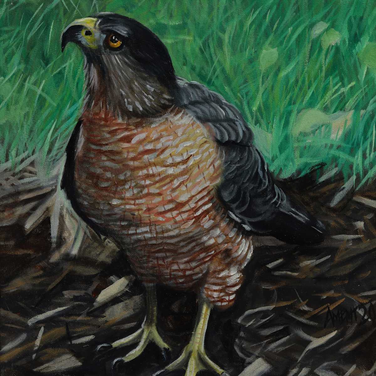 Ground Hawk by J. Scott Ament, Image 3.