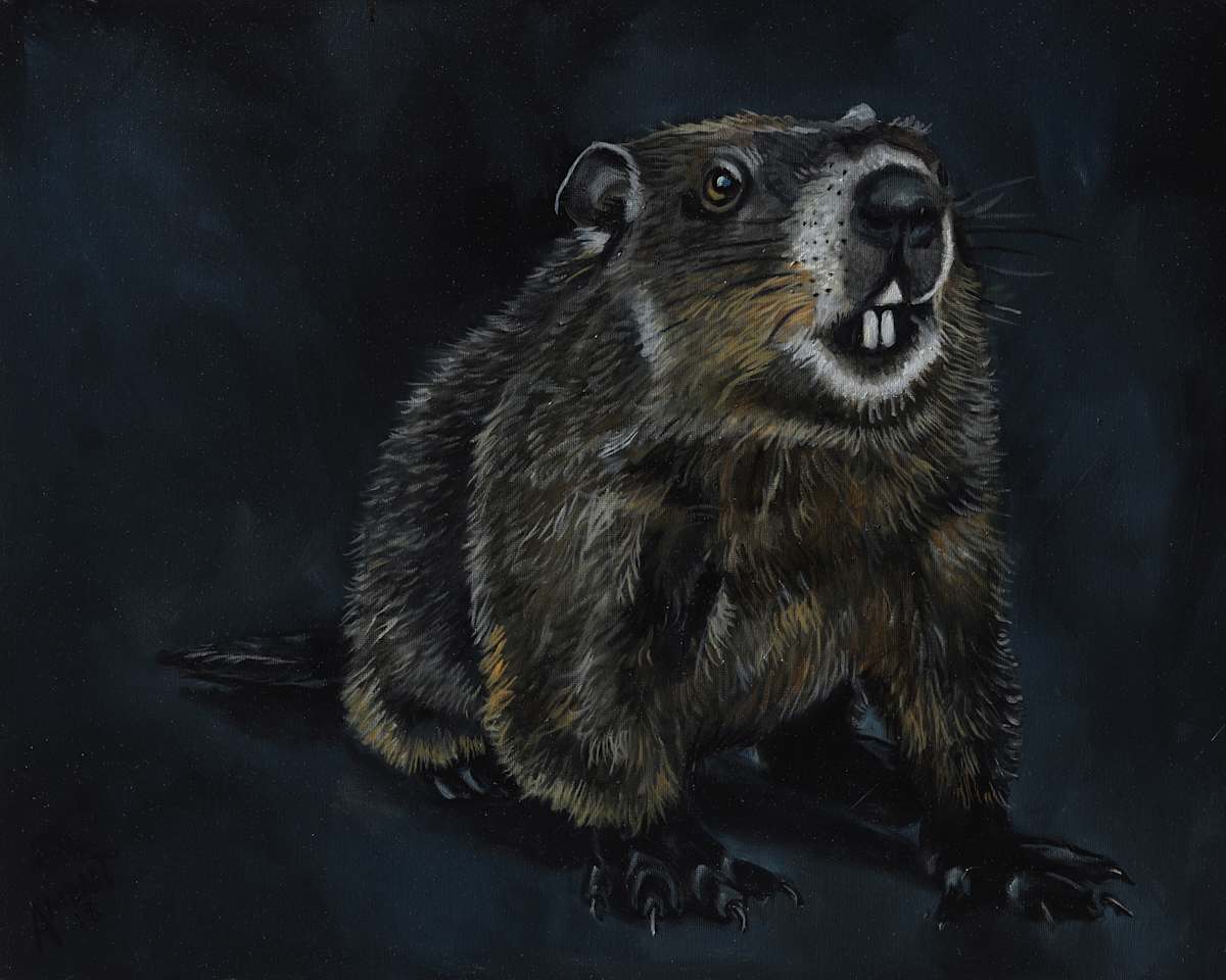 Ground Hog Day by J. Scott Ament 