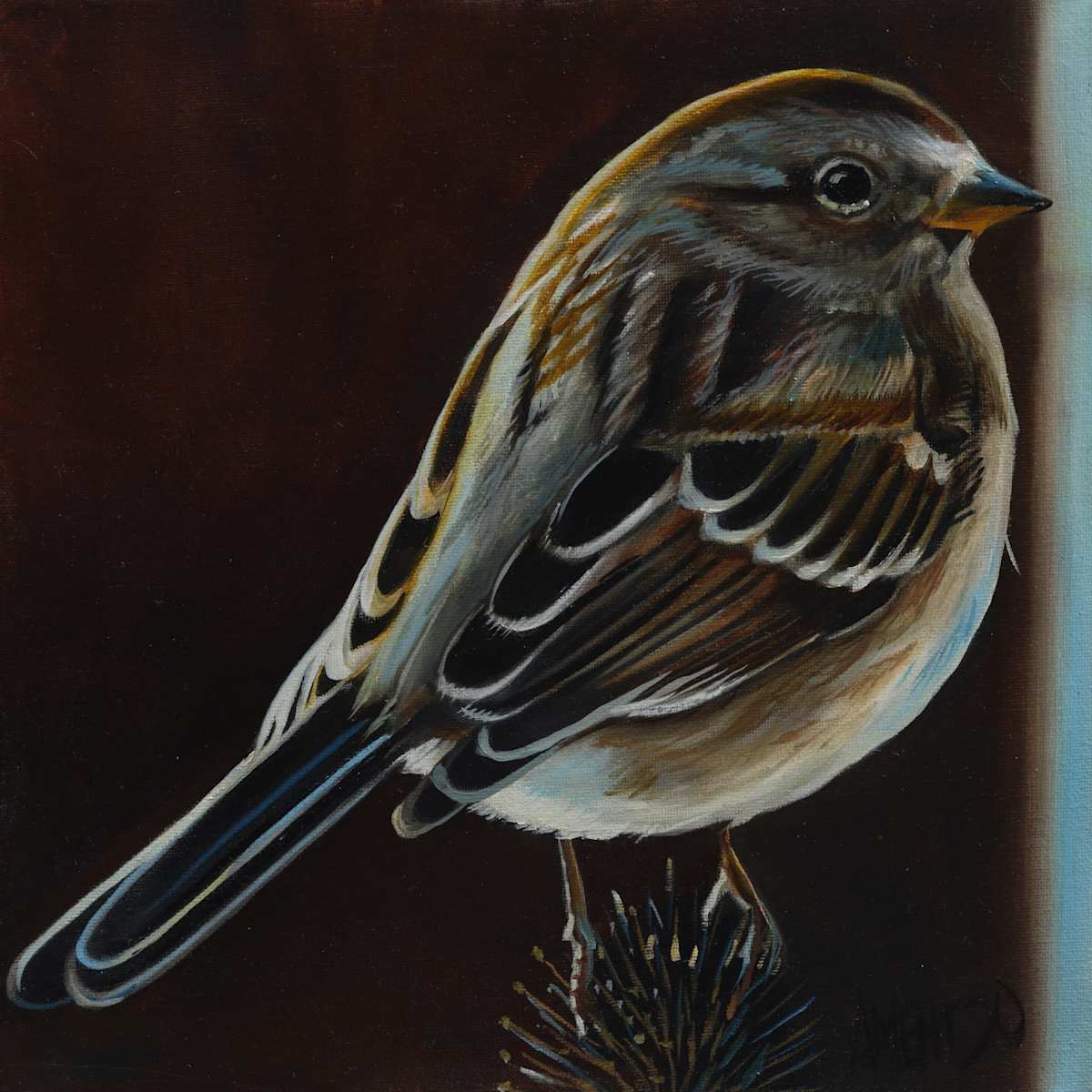 House Sparrow by J. Scott Ament 