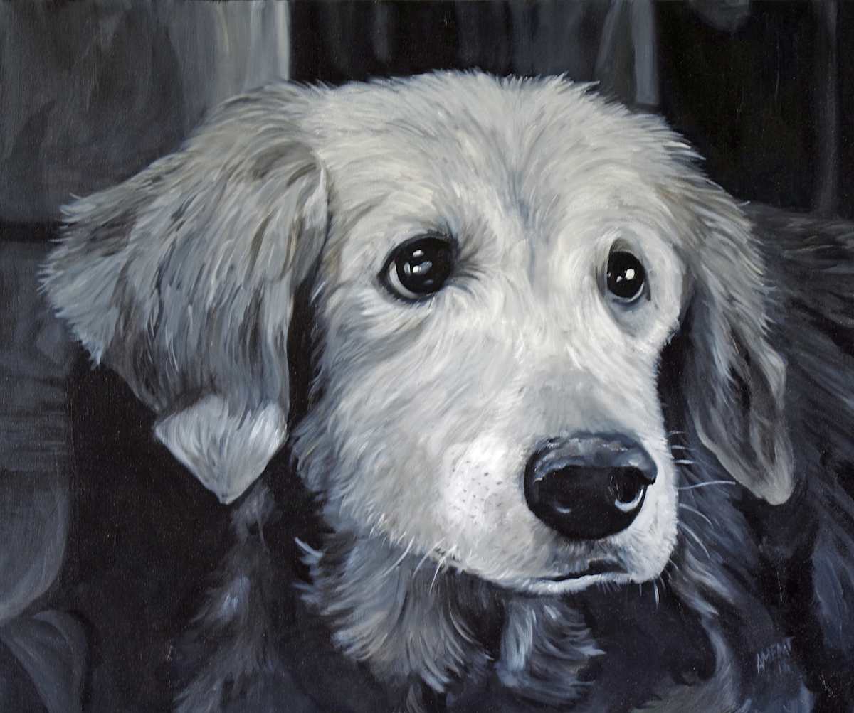 Jake by J. Scott Ament, Image 1.