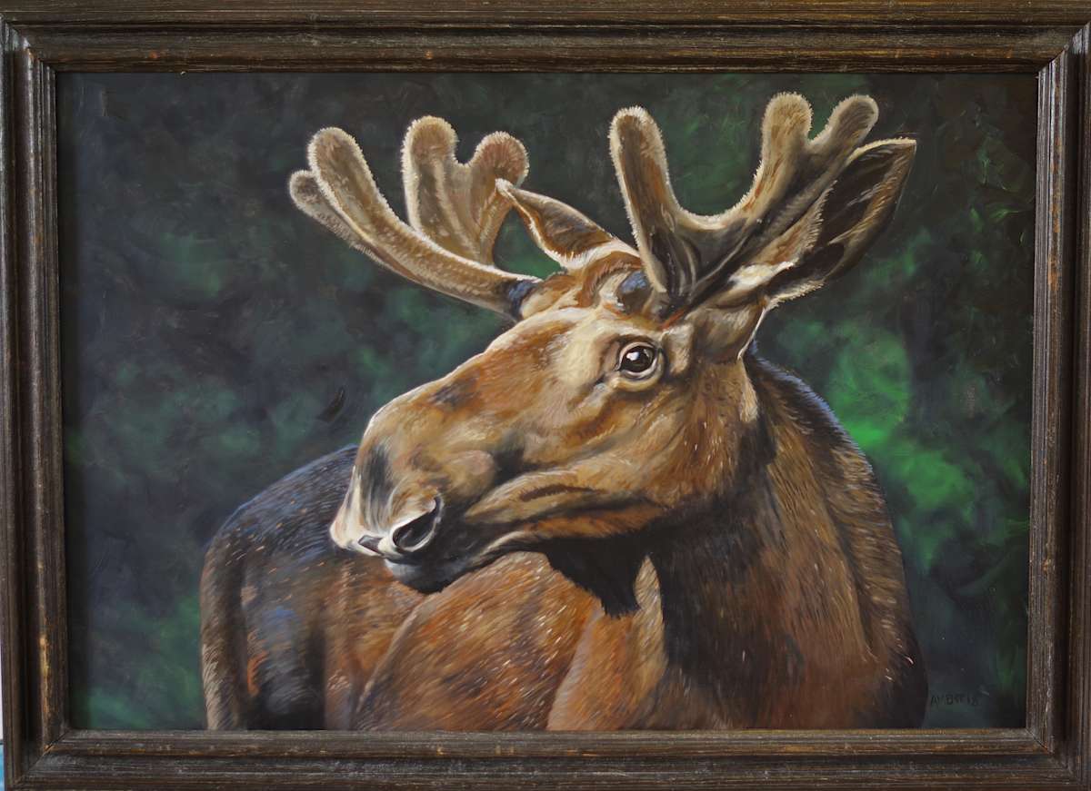 Mr. Moose 2 by J. Scott Ament, Image 1.