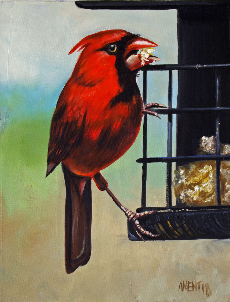 Cardinal at Feeder by J. Scott Ament 