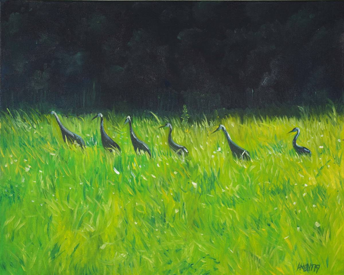 The Sandhills by J. Scott Ament, Image 1.