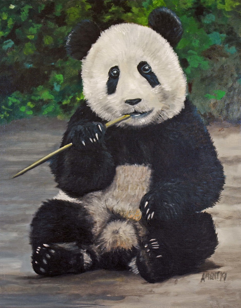 Vincent's Panda by J. Scott Ament 