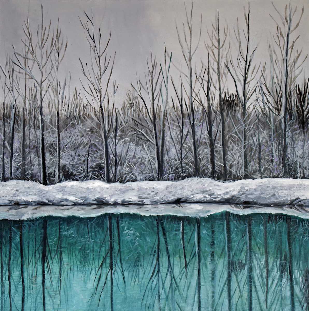 Winter Pond by J. Scott Ament, Image 1.