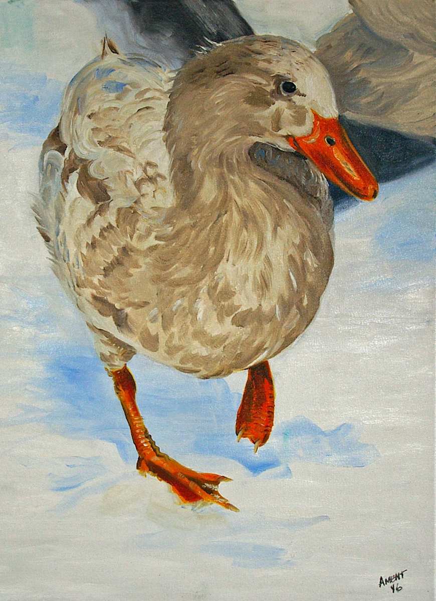 Tiny by J. Scott Ament, Image 1.