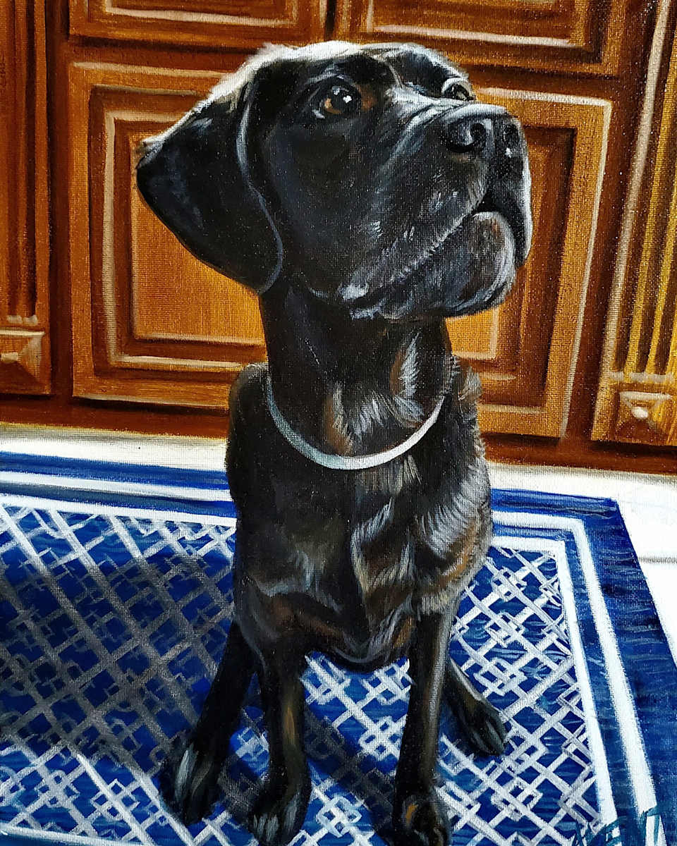 Kitchen Pup by J. Scott Ament 