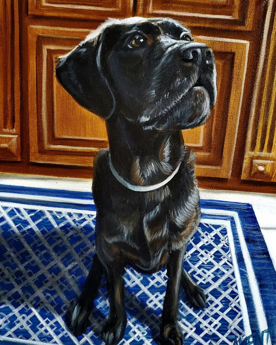Kitchen Pup by J. Scott Ament, Image 1.