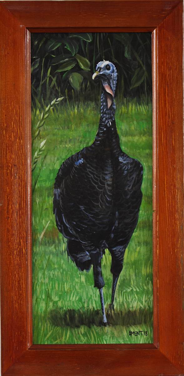 Lithe Turkey by J. Scott Ament, Image 1.