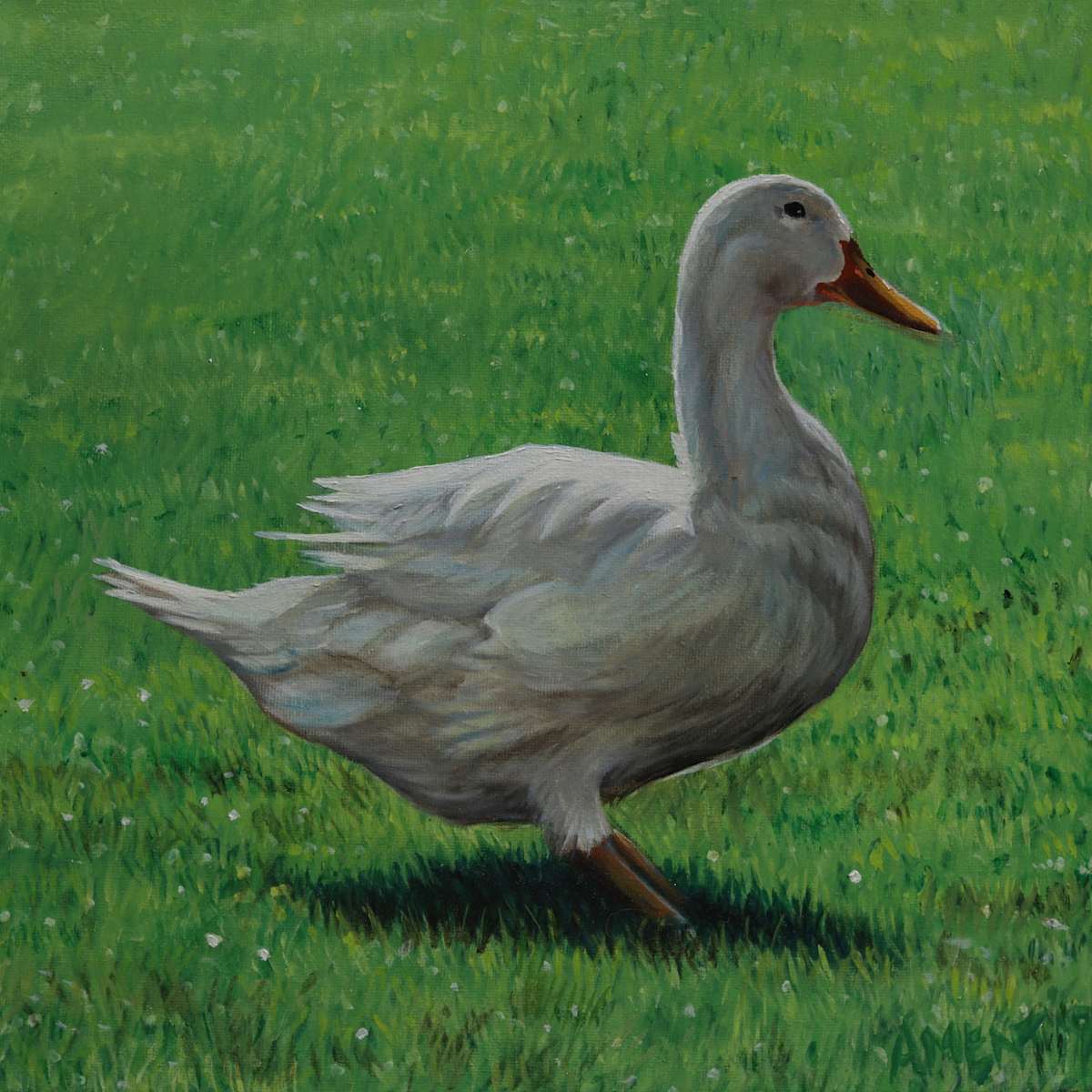 My Duck by J. Scott Ament 